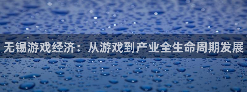pc28大神苹果下载：无锡游戏经济：从游戏到产业全生命周期发