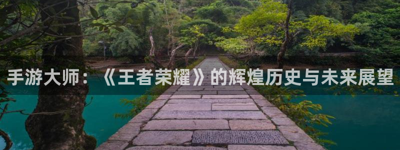 28大神怎么用不了了：手游大师：《王者荣耀》的辉煌历史与未来