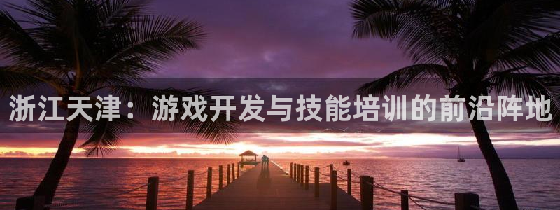 28大神官网预测：浙江天津：游戏开发与技能培训的前沿阵地