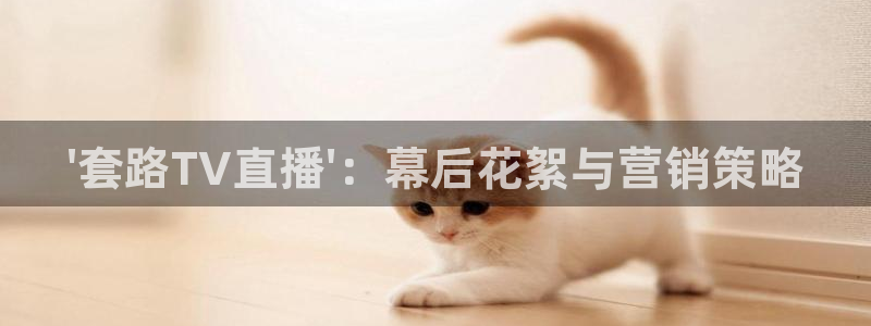 极速体育斯诺克比赛直播：\'套路TV直播\'：幕后花絮与营销策略