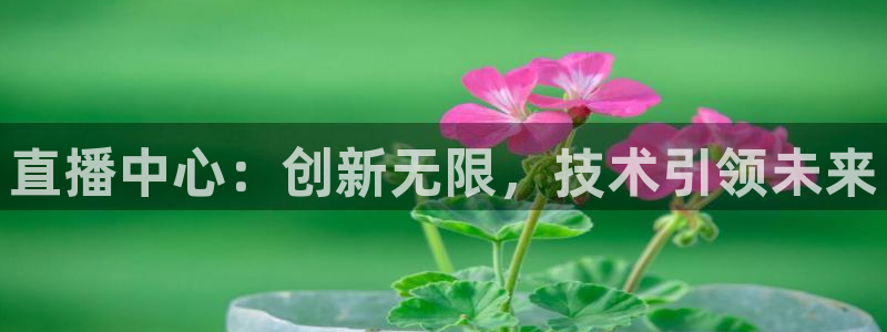 黑白直播极速体育：直播中心：创新无限，技术引领未来