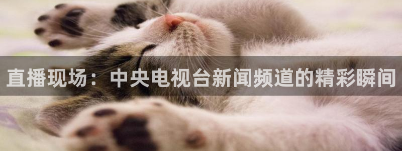 极速直播免费体育直播：直播现场：中央电视台新闻频道的精彩瞬间