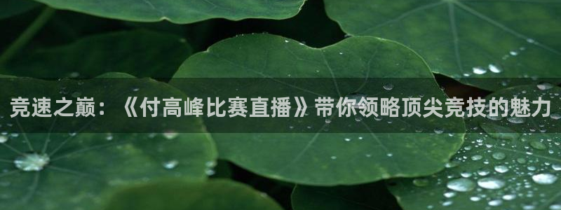 极速体育飞速直播：竞速之巅：《付高峰比赛直播》带你领略顶尖竞技的魅力