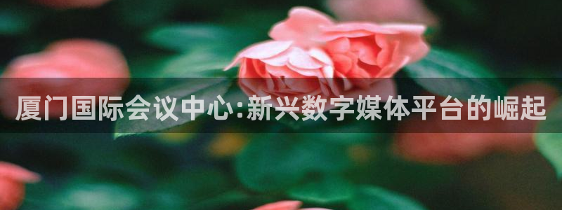 极速直播nba体育直播在线观看：厦门国际会议中心:新兴数字媒体平台的崛起