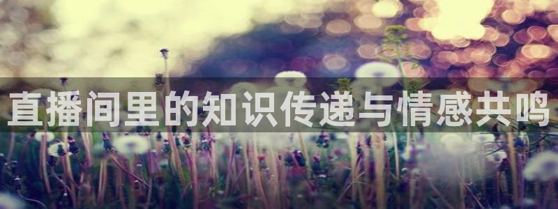 极速直播体育nba直播在线观看：直播间里的知识传递与情感共鸣