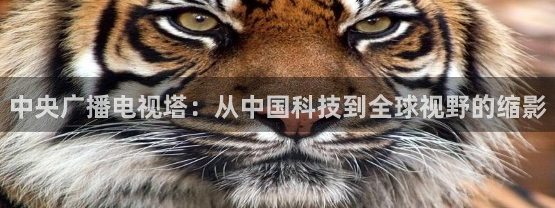 极速nba直播吧在线直播观看：中央广播电视塔：从中国科技到全球视野的缩影