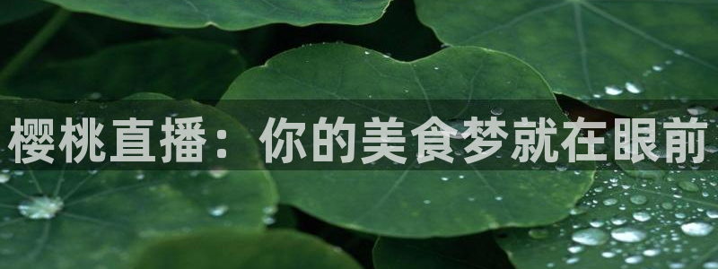 极速直播吧体育直播：樱桃直播：你的美食梦就在眼前
